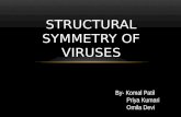 Structural symmetry of viruses