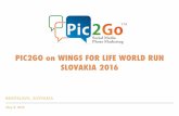 Pic2Go at Wings for Life World Run SVK 2016