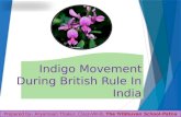 The Demand for Indian Indigo during British period