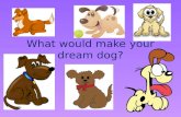 What would make your dream dog