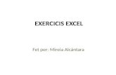 Exercicis Excel