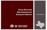 Texas Wildfire Assessment Summary Report: Lost Creek