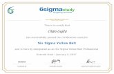 Six Sigma Yellow Belt -553539