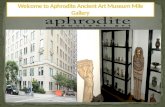 Welcome to aphrodite ancient art museum mile gallery