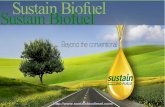 Biodiesel Suppliers | Biodiesel Production | Biodiesel Production Plant