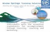 Wisdom Springs Training Solutions ppt