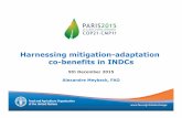 Harnessing mitigation adaptation co-benefits in ind cs