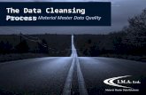 The Data Cleansing Process - A Roadmap to Material Master Data Quality
