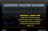 Hallett aortic valve cases nasci_2015_handout