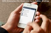 Storage Made Easy Enterprise File Share and Sync Briefing