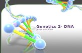 Genetics 2 tuesday presentation