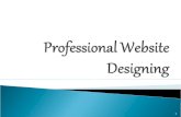 Need Of Professional Web Designing Firm