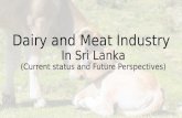 Dairy and meat industry in sri lanka