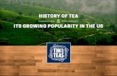 History of Tea & Its Growing Popularity in the US