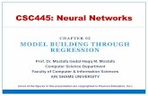 Neural Networks: Model Building Through Linear Regression