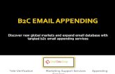 Discover global markets with B2C Email Appending