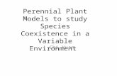 Perennial Plant Models to study Species Coexistence in a Variable Environment