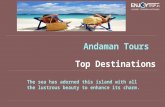 Experience The Aqua-marine life At Andaman