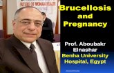 Brucellosis and pregnancy