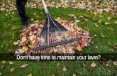 Expert Lawn Service Mansfield Locals Can Trust