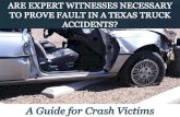 Are Expert Witnesses Necessary to Prove Fault In a Texas Truck Accidents: A Guide for Crash Victims