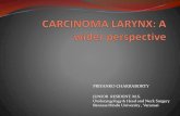 Carcinoma larynx- A wider perspective