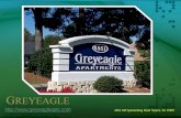 Greyeagle Apartments in Greenville SC