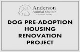 Dog Pre-Adoption Renovation Project