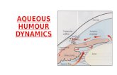 Dr.r.subramaniyan, 09 3-17,Aqueous Humour Dynamics