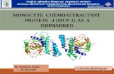 Monocyte chemoattractant protein  1(mcp-1)
