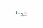 MongoDB: Agile Combustion Engine