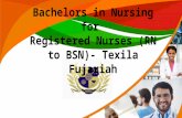 Bachelors in Nursing for Registered Nurses (RN to BSN)