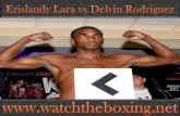 watch Erislandy Lara vs Delvin Rodriguez online
