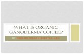 What Is Organic Ganoderma Coffee?