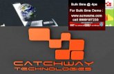 catchway Team offers :Website Designing, Website Hosting, Website Development, Web designing, Linux Web Hosting, Web Promotion, Web Development,Web site Promotion