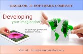 Bacelor IT Software Service Provider