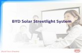 BYD Solar Streetlight introduction