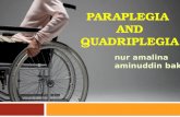Mellss yr3 med para and quadriplegia