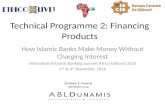 20161103 technical programme 2 financing_products_djibouti_2016