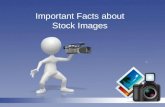 Important Facts About Stock Images