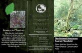 Natural Resources Trust Informational Pamphlet