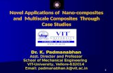 Novel applications of nano and multiscale composites through case studies