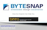 Embedded Electronic Design Consultants - ByteSnap Design Overview
