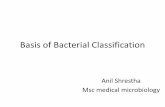 Basis of bacterial classification by Anil Shrestha