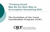 The evolution of the court coordination program (ccp) thinking small