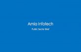 Amia infotech - Public Sector Brief