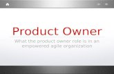 Product owner presentation
