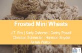 Frosted Mini Wheats Final_5_4_15