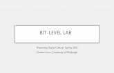 Bit-Level Lab