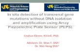 Piezoelectric Plate Sensor